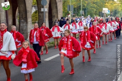 MSPICT_2018-11_03_0033